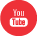 ESI Youtube Link